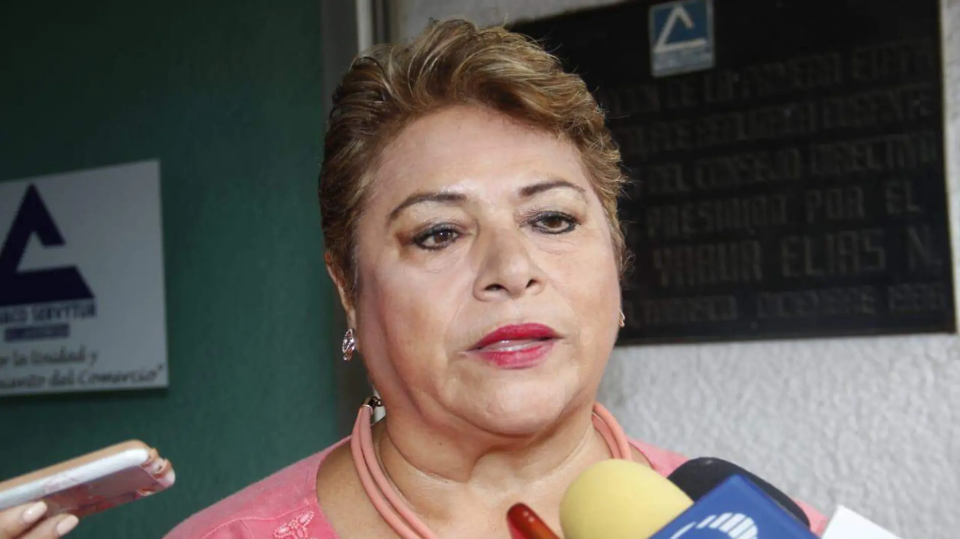 VIOLETA ISIDRO-CARLOS PEREZ